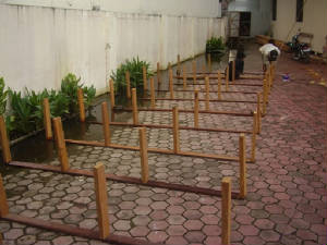 foto6.jpg